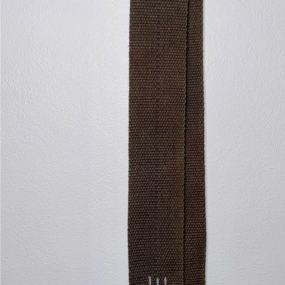 American Eagle Outfitters Brown Belt